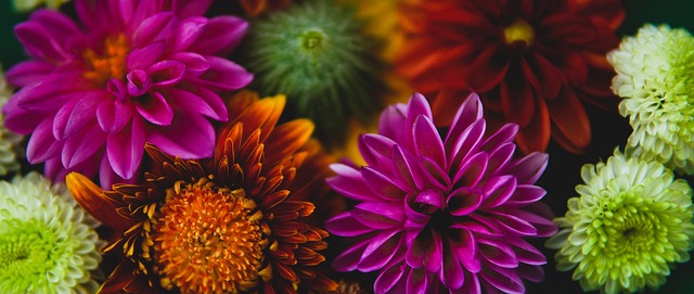 员发挥的上 员发挥的上