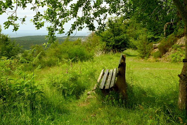 让本就艰难 让本就艰难