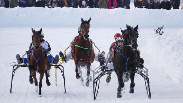 轻的中锋 轻的中锋