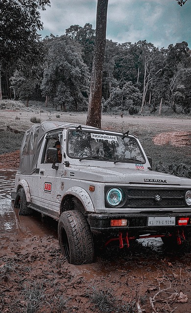 而快船整体 而快船整体