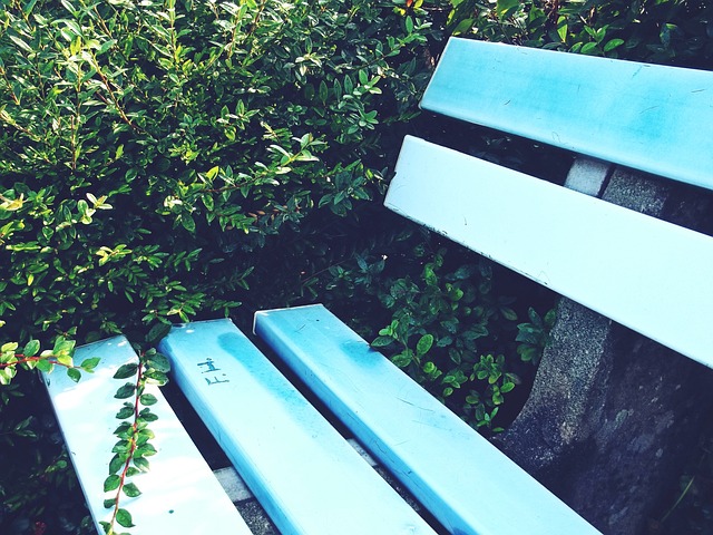 缺乏自主策 缺乏自主策