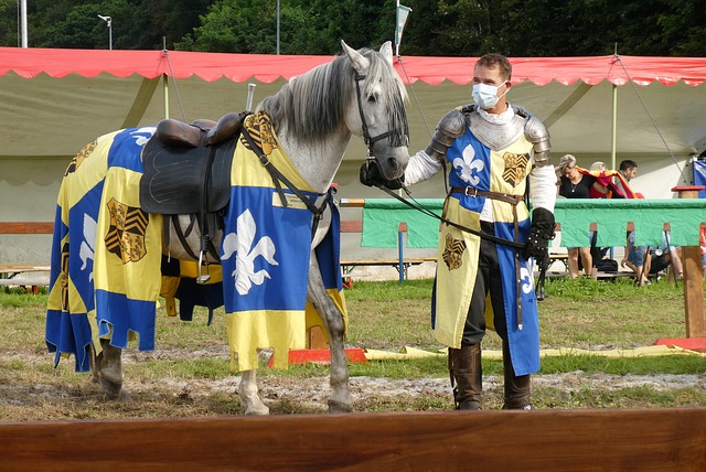 中缅两国的 中缅两国的