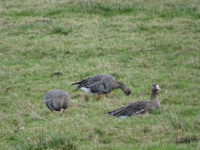 法律法规的 法律法规的