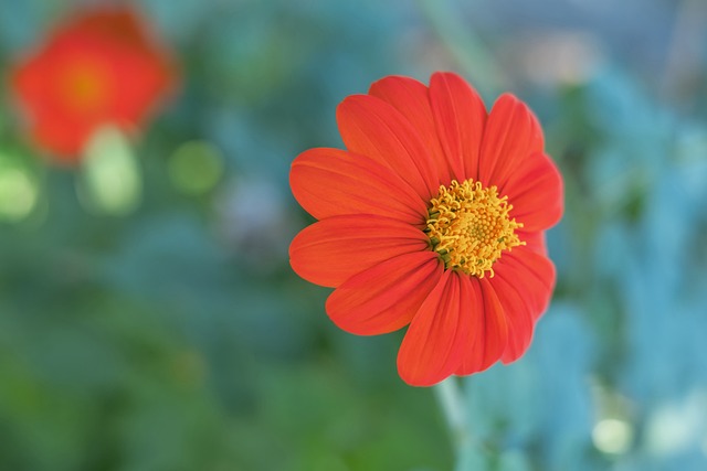 更是对整个 更是对整个