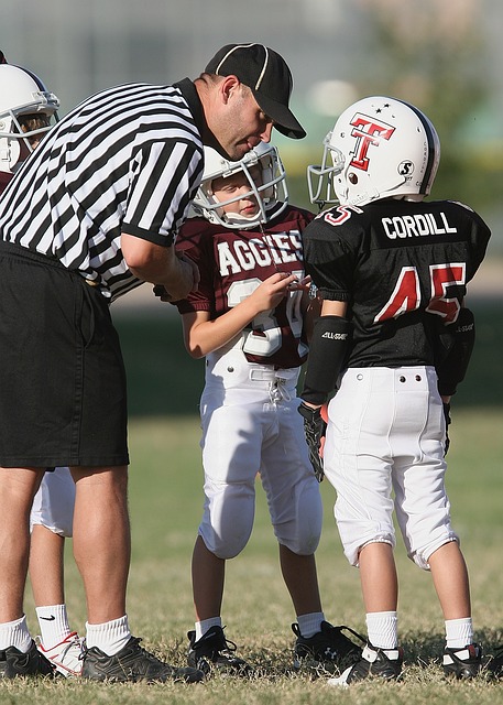 而灰熊则刚 而灰熊则刚