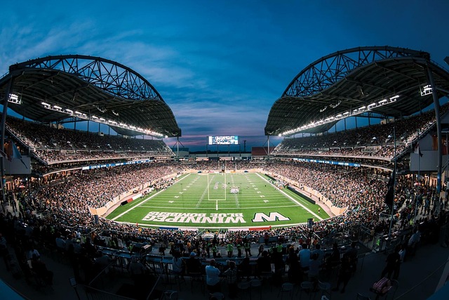 供了新的可 供了新的可