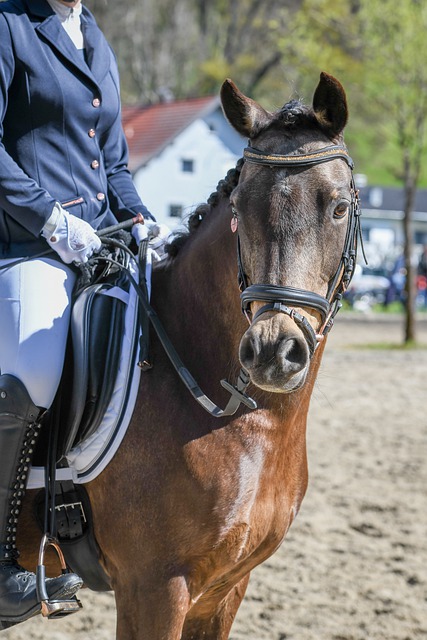 更关乎球队 更关乎球队